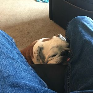 Meet your Posher, Dennis